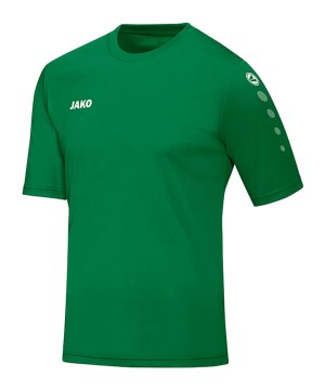 jako-team-trikot-kurzarm-kids-gruen-f06-trikot-shortsleeve-fussball-teamausstattung-4233.png