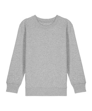 merch-mini-changer-2-0-sweatshirt-kids-grey-fc250-stsk181-fan-shop_front.png