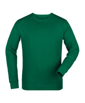 merch-roller-sweatshirt-bottle-green-fc224-stsu868-fan-shop_front.png