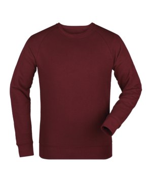 merch-roller-sweatshirt-burgundy-fc244-stsu868-fan-shop_front.png