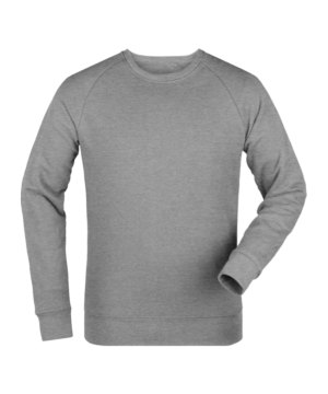 merch-roller-sweatshirt-heather-grey-fc250-stsu868-fan-shop_front.png