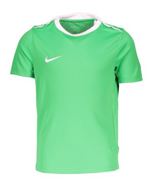 nike-academy-pro-24-trainingsshirt-kids-gruen-f329-fd7597-teamsport_front.png