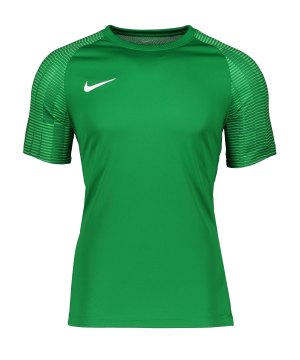 nike-academy-trikot-gruen-weiss-f302-dh8031-teamsport_front.png