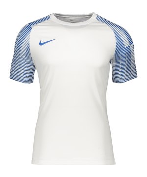 nike-academy-trikot-kids-weiss-blau-f102-dh8369-teamsport_front.png