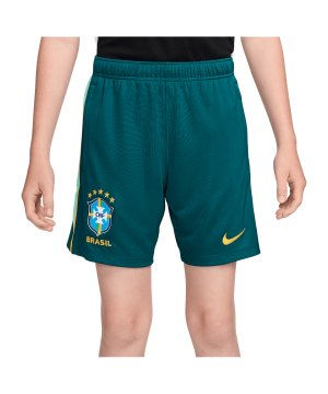 nike-cbf-brasilien-academy-pro-short-kids-f381-ib5530-fan-shop_front.png