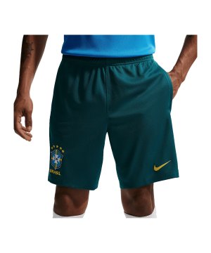 nike-cbf-brasilien-strike-short-gruen-f381-ib5916-fan-shop_front.png