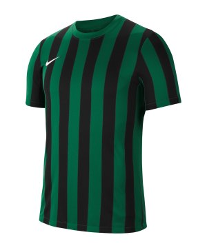 nike-division-iv-striped-trikot-kurzarm-gruen-f302-cw3813-teamsport_front.png