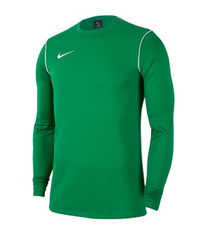 nike-dri-fit-park-crew-shirt-longsleeve-kids-f302-fussball-teamsport-textil-sweatshirts-bv6901.png