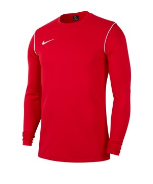 nike-dri-fit-park-crew-shirt-longsleeve-kids-f657-fussball-teamsport-textil-sweatshirts-bv6901.png