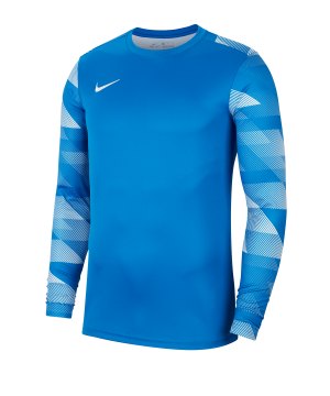 nike-dri-fit-park-iv-trikot-kurzarm-blau-f463-fussball-teamsport-textil-trikots-cj6066.png