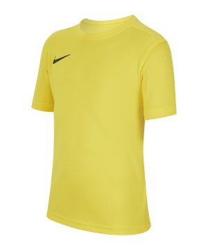 nike-dri-fit-park-vii-big-kurzarm-trikot-kids-f719-fussball-teamsport-textil-trikots-bv6741.png