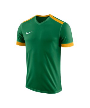 nike-dry-park-derby-ii-trikot-gruen-gold-f302-trikot-shirt-team-mannschaftssport-ballsportart-894312.png