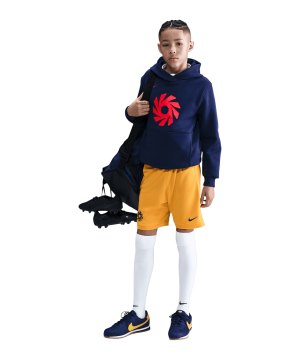 nike-erling-haaland-academy-short-kids-gelb-f739-hv0213-teamsport_front.png