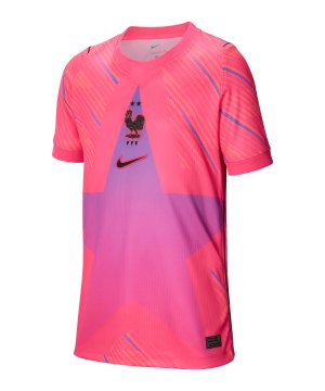 nike-fff-frankreich-torwarttrikot-2026-2027-k-f645-ib5134-fan-shop_front.png