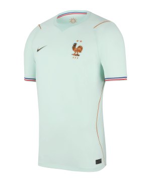 nike-fff-frankreich-trikot-away-wc-2026-gruen-f394-ib5367-fan-shop_front.png