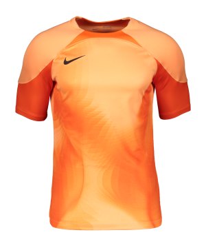 nike-gardien-iv-torwarttrikot-orange-f819-dh7760-teamsport_front.png