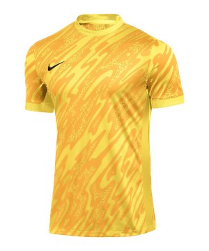 nike-gardien-v-torwarttrikot-gelb-f719-fd7482-teamsport_front.png