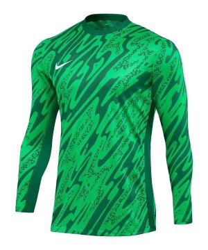 nike-gardien-v-torwarttrikot-gruen-f329-fd7474-teamsport_front.png
