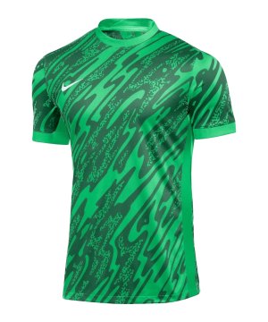 nike-gardien-v-torwarttrikot-gruen-f329-fd7482-teamsport_front.png