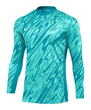nike-gardien-v-torwarttrikot-langarm-tuerkis-f354-fd7474-teamsport_front.png