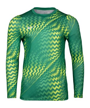 nike-gardien-vi-torwarttrikot-langarm-kids-f324-hv8310-teamsport_front.png