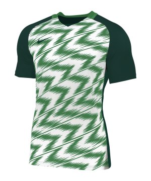 nike-naija-trikot-kurzarm-gruen-weiss-f302-fussball-teamsport-textil-trikots-ci9787.png