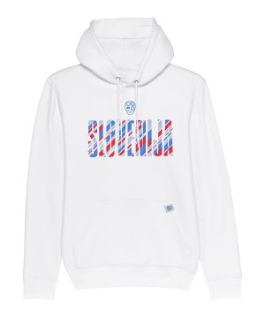 nike-nzsx11ts-slowenien-hoody-em-2024-weiss-f100-nzsnzs500-fan-shop_front.png