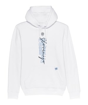 nike-nzsx11ts-slowenien-srce-bije-hoody-em-24-f100-nzsnzs600-fan-shop_front.png