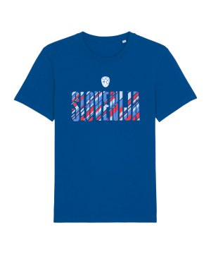nike-nzsx11ts-slowenien-t-shirt-em-2024-blau-f463-nzsnzs800-fan-shop_front.png