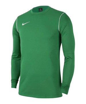 nike-park-20-sweatshirt-gruen-weiss-f302-fj3004-teamsport_front.png