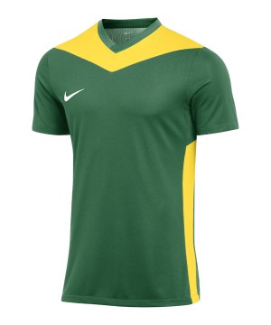 nike-park-derby-iv-trikot-gruen-gelb-f303-fd7430-teamsport_front.png