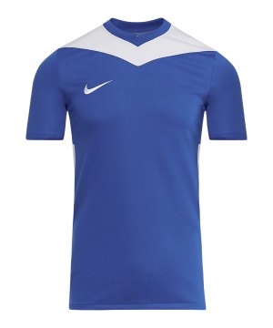 nike-park-derby-iv-trikot-kids-blau-f463-fd7438-teamsport_front.png