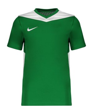 nike-park-derby-iv-trikot-kids-gruen-f302-fd7438-teamsport_front.png