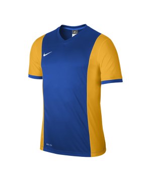 nike-park-derby-trikot-kurzarm-jersey-men-herren-erwachsene-blau-gold-f467-588413.png