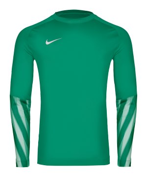 nike-park-v-trikot-langarm-gruen-f324-hv8314-teamsport_front.png