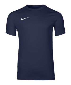 nike-park-viii-trikot-blau-f410-hv8173-teamsport_front.png