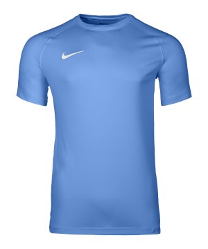 nike-park-viii-trikot-blau-f412-hv8173-teamsport_front.png