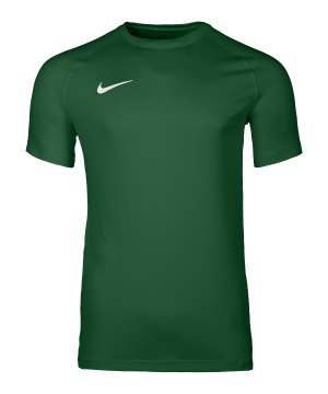 nike-park-viii-trikot-gruen-f302-hv8173-teamsport_front.png
