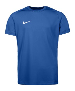nike-park-viii-trikot-kids-blau-f463-hv8182-teamsport_front.png