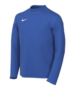 nike-park-viii-trikot-langarm-kids-blau-f463-hv8239-teamsport_front.png