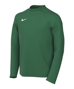 nike-park-viii-trikot-langarm-kids-gruen-f302-hv8239-teamsport_front.png
