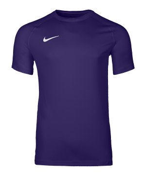 nike-park-viii-trikot-lila-f547-hv8173-teamsport_front.png
