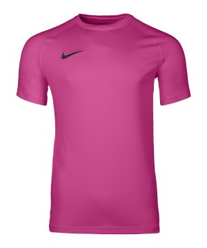 nike-park-viii-trikot-pink-f616-hv8173-teamsport_front.png
