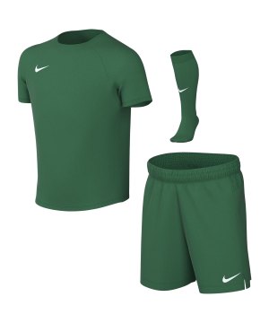 nike-park-viii-trikot-set-kids-gruen-f302-hv8260-teamsport_front.png