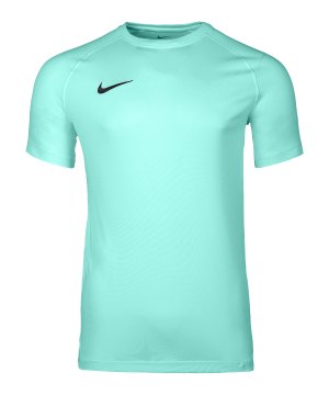nike-park-viii-trikot-tuerkis-f354-hv8173-teamsport_front.png