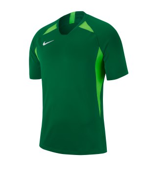 nike-striker-v-trikot-kurzarm-gruen-f302-fussball-teamsport-textil-trikots-aj0998.png