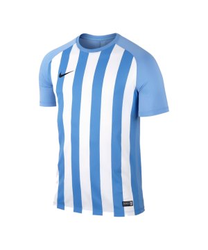 nike-striped-segment-iii-trikot-kurzarm-blau-f412-teamsport-fussball-mannschaft-ausruestung-jersey-832976.png