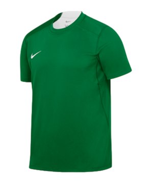 nike-team-court-trikot-braun-f302-0350nz-teamsport_front.png