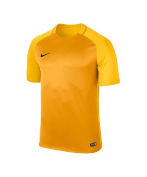 nike-trophy-iii-dry-team-trikot-kurzarm-gold-f739-trikot-vereinsausstattung-maenner-men-shortsleeve-fussball-881483.png