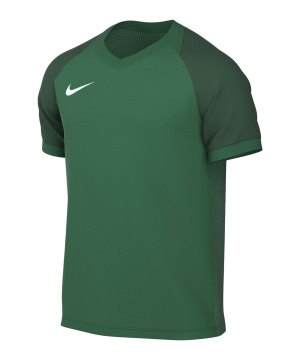 nike-trophy-vi-trikot-gruen-f302-hv8151-teamsport_front.png